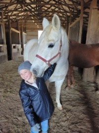horses and Zoey
