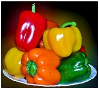 Red, Orange, Yellow, and Green Peppers