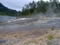 ORAKEI KORAKO - GEYSERLAND- NEW ZEALAND