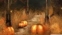 Pumpkins-Halloween