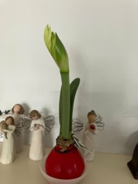 Beginning to Open