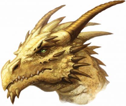 Gold Dragon Head