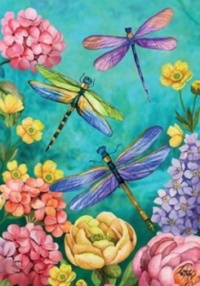 DRAGONFLY FLOWERS