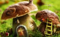 20110709010248~mushroom fairy homes