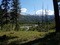 Trail 1816 Wallowa Whitman Forest