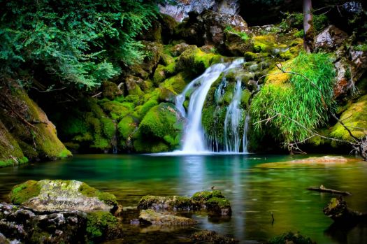 Solve forest stream jigsaw puzzle online with 442 pieces