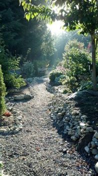 Misty Path