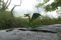 Little Dragon Challenge XXII