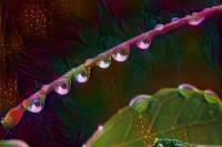 droplets-v2 medium