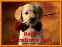 Happy Valentine's Day !!!