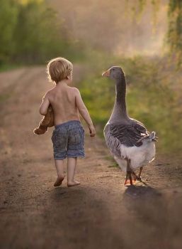 Boy with his goose