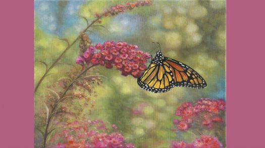 Monarch Butterfly   ex lg