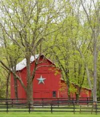 Red Barn in the Trees...