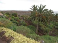 Fuerteventura Naturpark