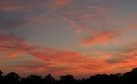 just a reminder of our Florida sunsets