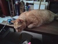 Tate on the job 6.24.23
