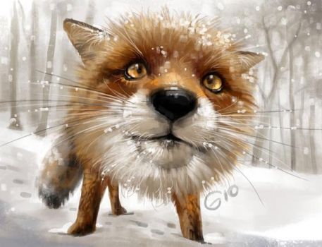doodle_121___red_fox_close_up_by_giovannag-d64fwhh