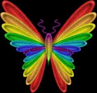 rainbow butterfly