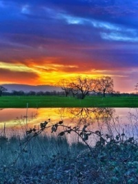 sunrise in Sonoma