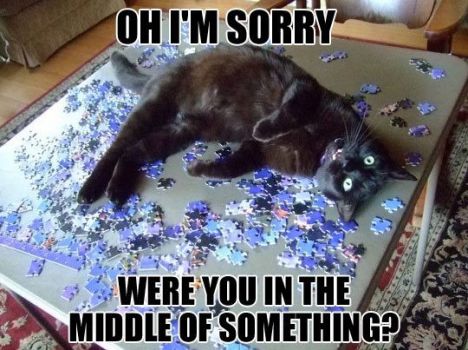 Puzzle resting