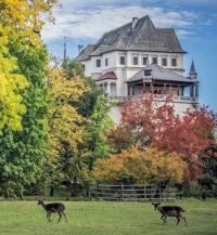 Country Manor House (resize 9 - 121 pieces)