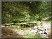 Une passerelle sur le ruisseau de Puyelong, un affluent de la Dourbie, dans le Parc National des Cévennes