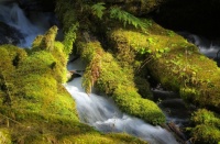 MOUNTAIN STREAM