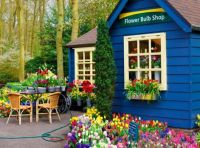 Flower Bulb Shop