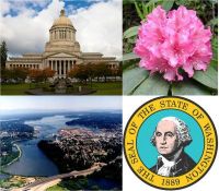 Theme: Olympia WA