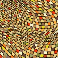 "Warped Color Grid"