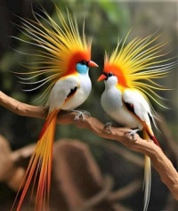 THE BEAUTIFUL WORLD OF BIRDS