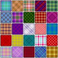 Plaid 5 X 5 (S)