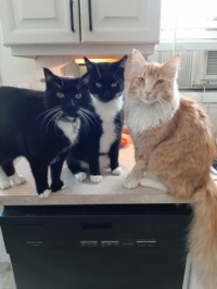 We wait for our dinner. More than 5 minutes late while you take pictures.