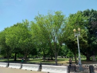 Lafayette Park WA DC