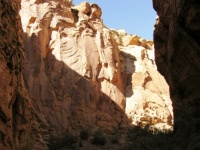 Sunshine In A Capitol Reef Canyon