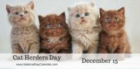 Today Is Cat Herders Day!!