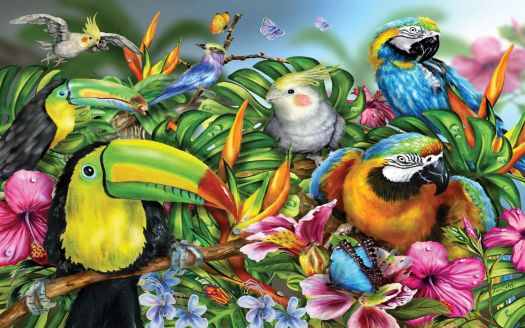 Colourful Tropical Flowers and Birds