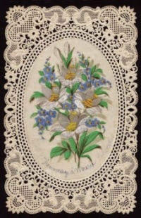 Lace Cards - Lilies & Forget me Nots (12 - 70 Pieces)