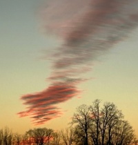 Evening Sky