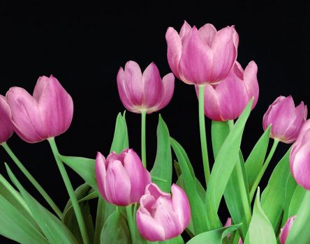 Solve Spring jigsaw puzzle online with 120 pieces