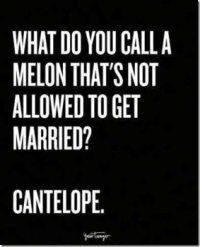 What do you call....
