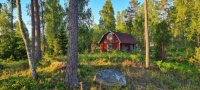 Swedish - hut