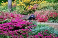 Azalea Garden