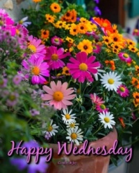 Good Morning - Happy Wednesday!