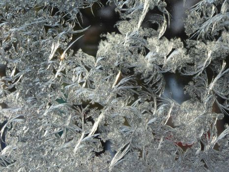ice crystals
