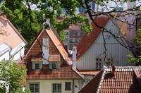 Tallinn Roofs