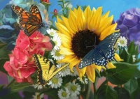 Spring Flowers and Butterflies