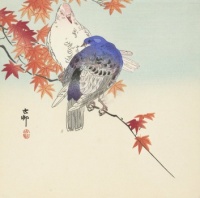 Two Pigeons on Autumnal Branch, Ohara Koson, 1900 - 1936