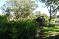 Cowra Japanese Gardens, New South Wales (65)