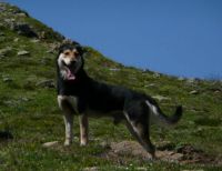 happy hiker